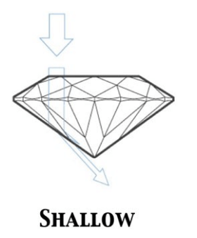 Shallow-Mobile